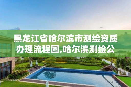 黑龙江省哈尔滨市测绘资质办理流程图,哈尔滨测绘公司电话