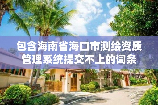 包含海南省海口市测绘资质管理系统提交不上的词条