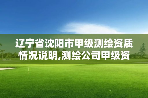 辽宁省沈阳市甲级测绘资质情况说明,测绘公司甲级资质是什么?