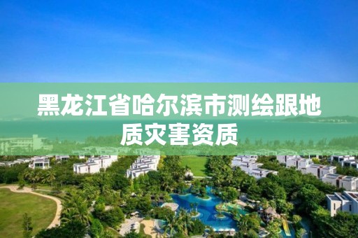 黑龙江省哈尔滨市测绘跟地质灾害资质