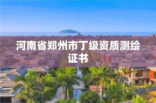 河南省郑州市丁级资质测绘证书