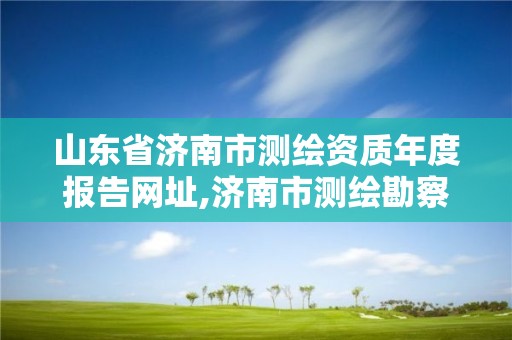 山东省济南市测绘资质年度报告网址,济南市测绘勘察研究院