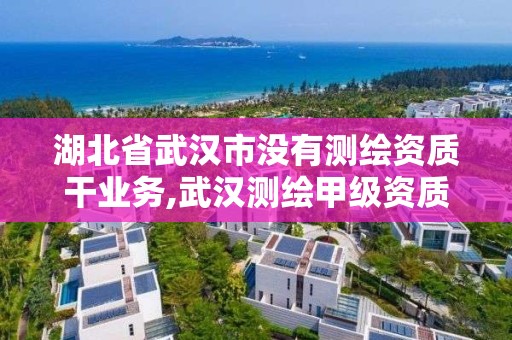 湖北省武汉市没有测绘资质干业务,武汉测绘甲级资质公司