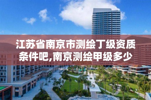 江苏省南京市测绘丁级资质条件吧,南京测绘甲级多少家