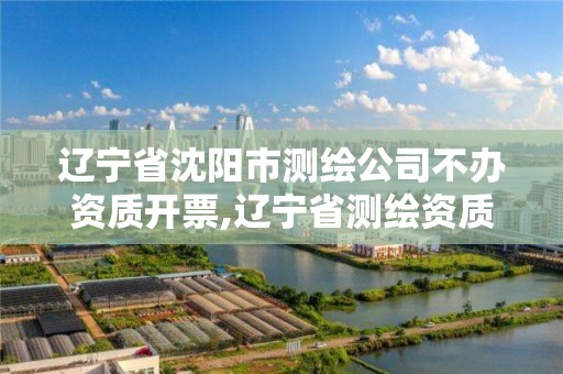 辽宁省沈阳市测绘公司不办资质开票,辽宁省测绘资质延期