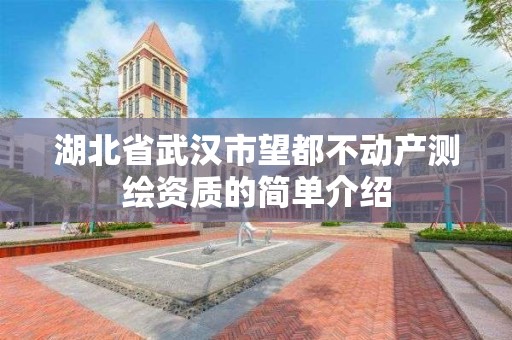 湖北省武汉市望都不动产测绘资质的简单介绍