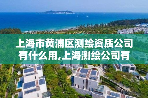 上海市黄浦区测绘资质公司有什么用,上海测绘公司有哪几家。