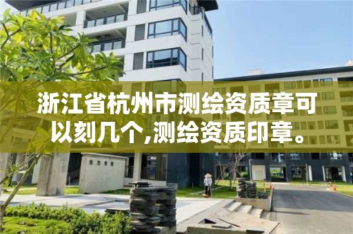 浙江省杭州市测绘资质章可以刻几个,测绘资质印章。