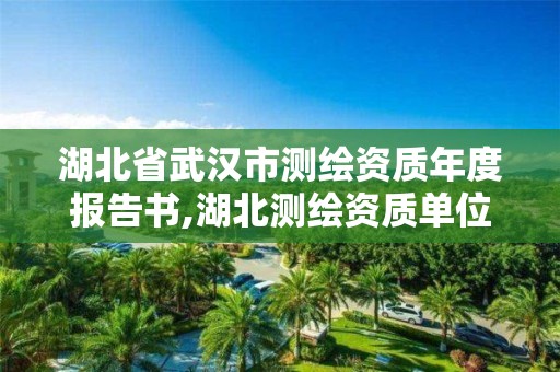 湖北省武汉市测绘资质年度报告书,湖北测绘资质单位。