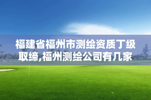 福建省福州市测绘资质丁级取缔,福州测绘公司有几家