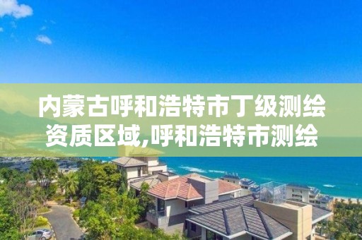 内蒙古呼和浩特市丁级测绘资质区域,呼和浩特市测绘公司有哪些