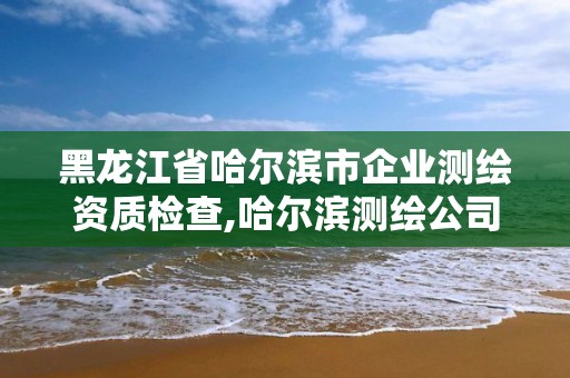 黑龙江省哈尔滨市企业测绘资质检查,哈尔滨测绘公司有哪些