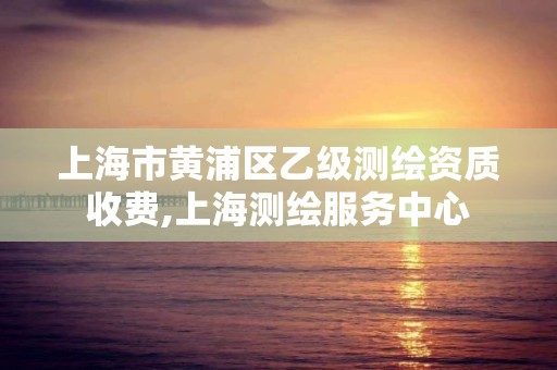 上海市黄浦区乙级测绘资质收费,上海测绘服务中心