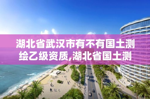 湖北省武汉市有不有国土测绘乙级资质,湖北省国土测绘院与武汉市测绘院哪个好。