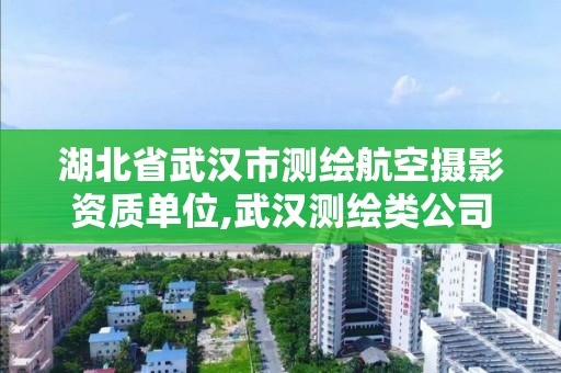 湖北省武汉市测绘航空摄影资质单位,武汉测绘类公司