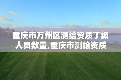 重庆市万州区测绘资质丁级人员数量,重庆市测绘资质管理办法