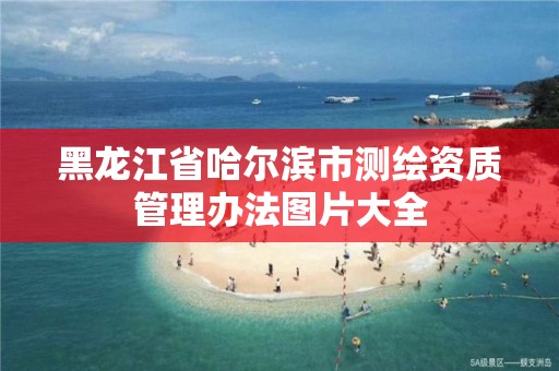 黑龙江省哈尔滨市测绘资质管理办法图片大全