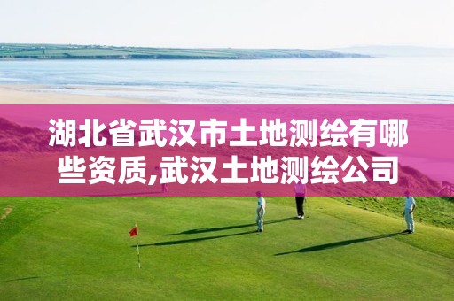 湖北省武汉市土地测绘有哪些资质,武汉土地测绘公司