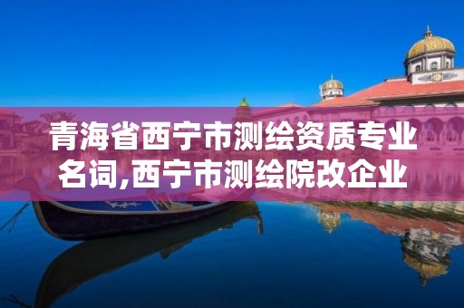 青海省西宁市测绘资质专业名词,西宁市测绘院改企业