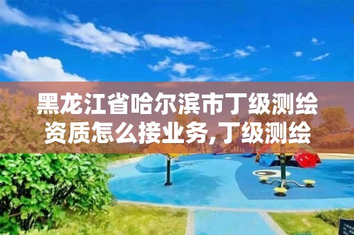 黑龙江省哈尔滨市丁级测绘资质怎么接业务,丁级测绘资质能承担的业务。