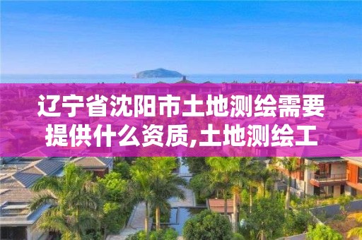 辽宁省沈阳市土地测绘需要提供什么资质,土地测绘工作怎么样。