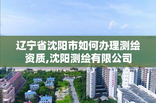 辽宁省沈阳市如何办理测绘资质,沈阳测绘有限公司