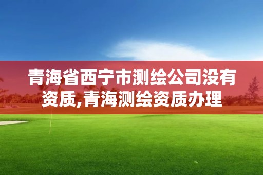 青海省西宁市测绘公司没有资质,青海测绘资质办理