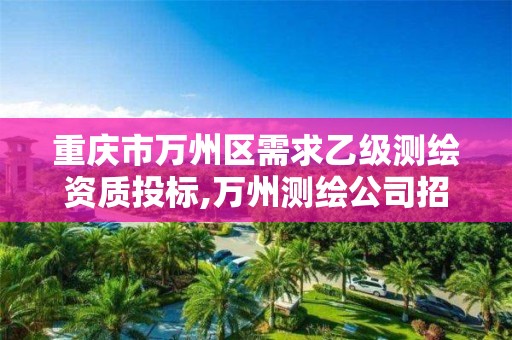 重庆市万州区需求乙级测绘资质投标,万州测绘公司招聘