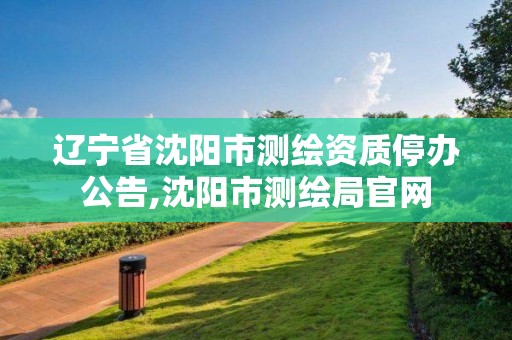 辽宁省沈阳市测绘资质停办公告,沈阳市测绘局官网