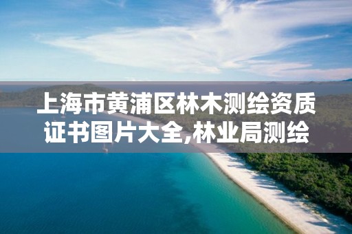 上海市黄浦区林木测绘资质证书图片大全,林业局测绘是做什么的。