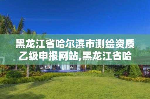 黑龙江省哈尔滨市测绘资质乙级申报网站,黑龙江省哈尔滨市测绘局