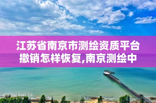 江苏省南京市测绘资质平台撤销怎样恢复,南京测绘中标