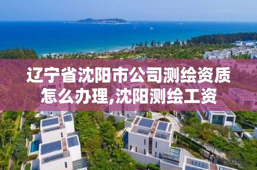 辽宁省沈阳市公司测绘资质怎么办理,沈阳测绘工资