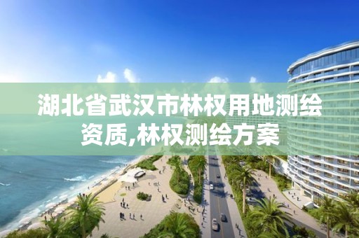 湖北省武汉市林权用地测绘资质,林权测绘方案