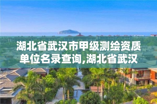 湖北省武汉市甲级测绘资质单位名录查询,湖北省武汉市甲级测绘资质单位名录查询电话。