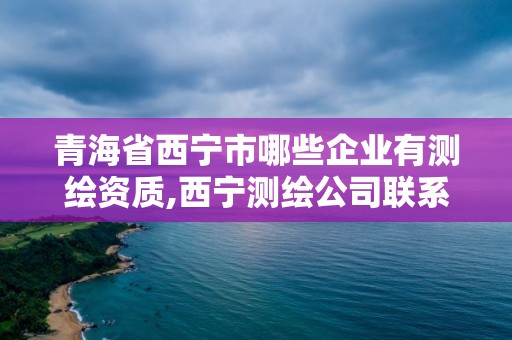 青海省西宁市哪些企业有测绘资质,西宁测绘公司联系方式