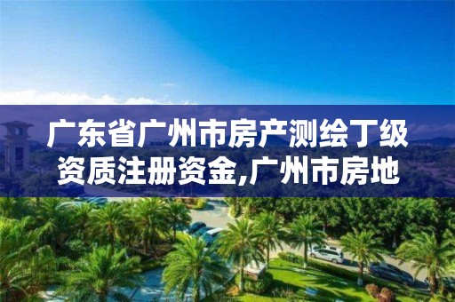 广东省广州市房产测绘丁级资质注册资金,广州市房地产测绘院。