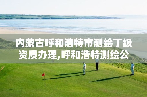 内蒙古呼和浩特市测绘丁级资质办理,呼和浩特测绘公司招聘