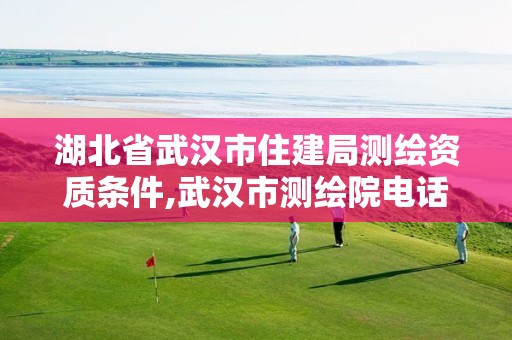 湖北省武汉市住建局测绘资质条件,武汉市测绘院电话