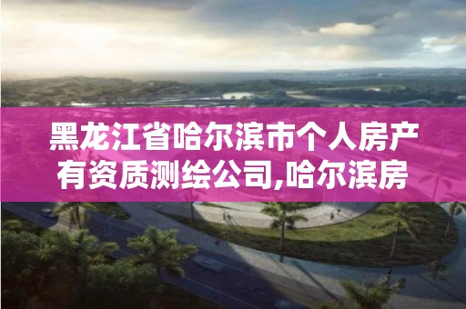 黑龙江省哈尔滨市个人房产有资质测绘公司,哈尔滨房屋检测鉴定机构中心。