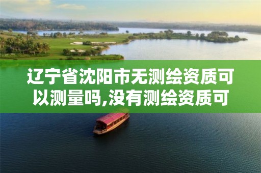 辽宁省沈阳市无测绘资质可以测量吗,没有测绘资质可以测绘吗