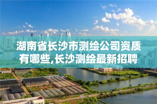 湖南省长沙市测绘公司资质有哪些,长沙测绘最新招聘