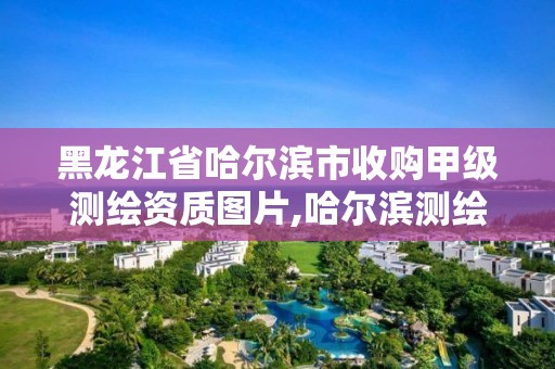 黑龙江省哈尔滨市收购甲级测绘资质图片,哈尔滨测绘公司排名