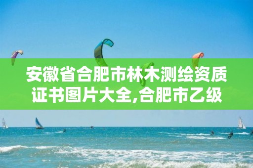 安徽省合肥市林木测绘资质证书图片大全,合肥市乙级测绘公司。