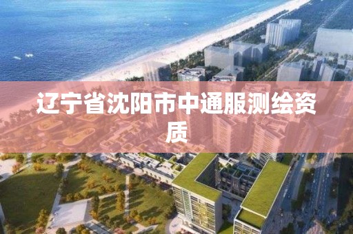 辽宁省沈阳市中通服测绘资质