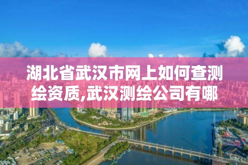 湖北省武汉市网上如何查测绘资质,武汉测绘公司有哪些