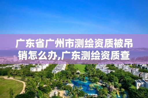 广东省广州市测绘资质被吊销怎么办,广东测绘资质查询