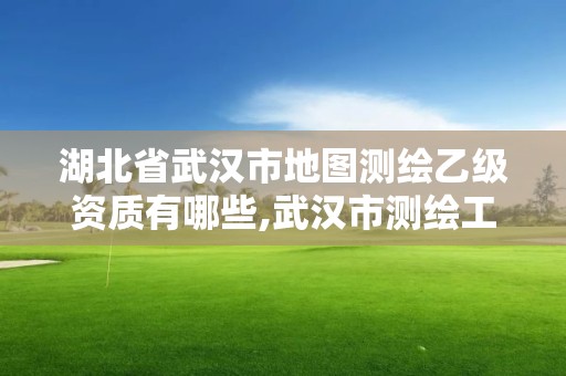 湖北省武汉市地图测绘乙级资质有哪些,武汉市测绘工程技术规定