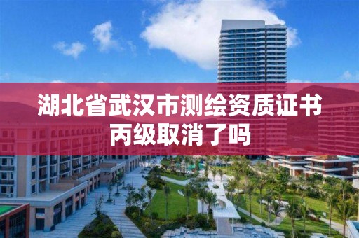 湖北省武汉市测绘资质证书丙级取消了吗