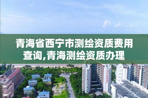 青海省西宁市测绘资质费用查询,青海测绘资质办理